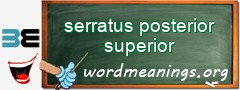 WordMeaning blackboard for serratus posterior superior